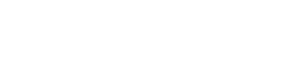 Bus der Klasse D