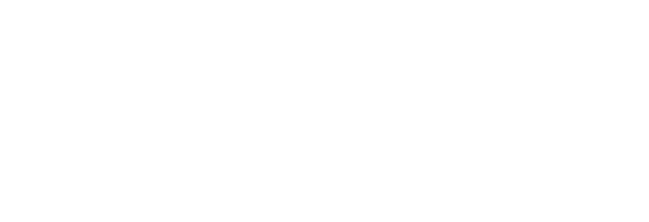 Kleinbus der Klasse D1
