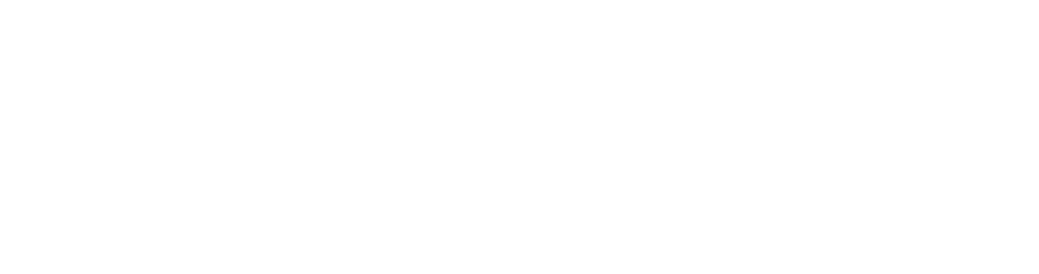 Kleinbus mit Anhaenger, Klasse D1E